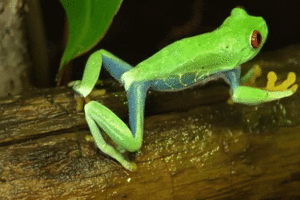 A collection of my poetry inspired by past experiences leading to the journey that got me where I am today.